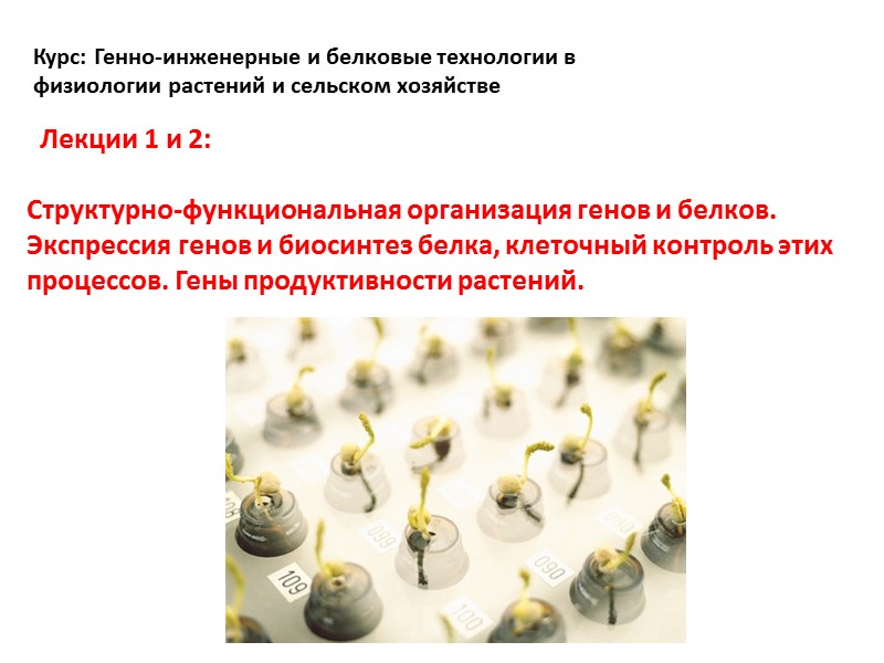 Лекции 1 и 2:  Cтруктурно-функциональная организация генов и белков. Экспрессия генов и биосинтез